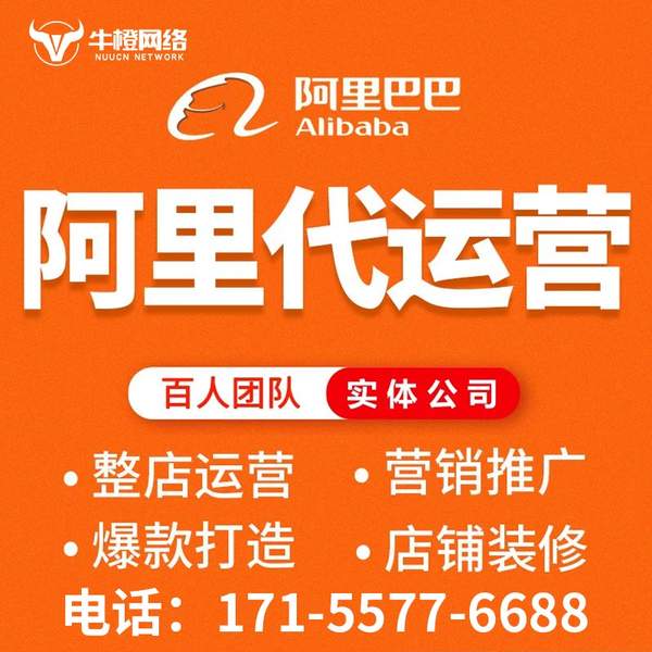 海安电商代运营