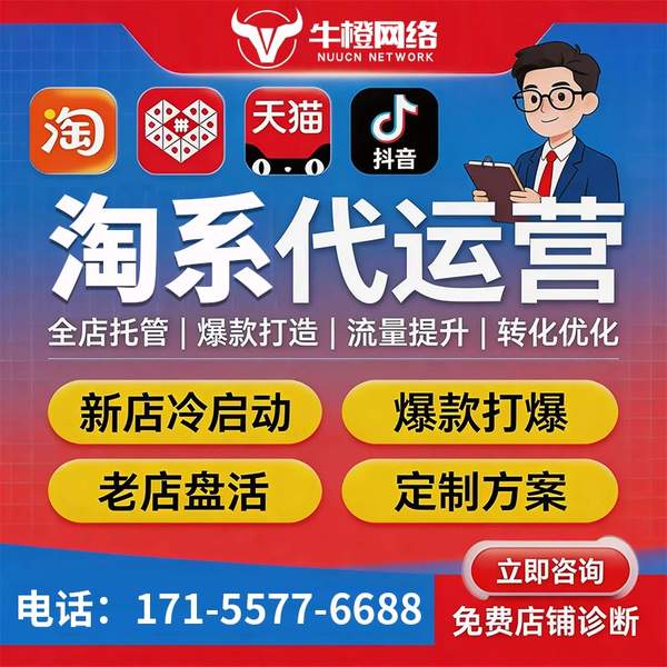 海安电商代运营