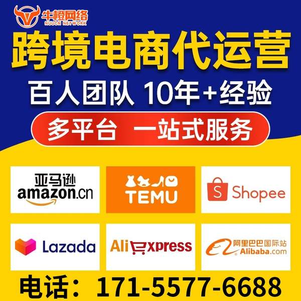 海安电商代运营