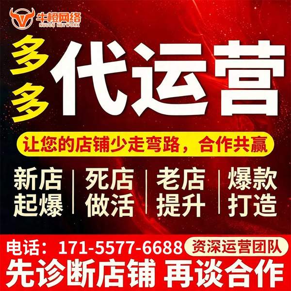 海安电商代运营