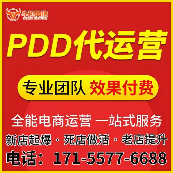 海安电商代运营