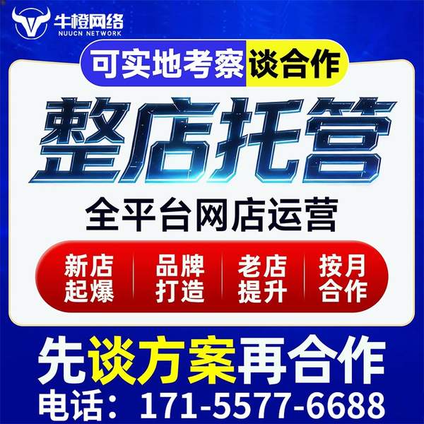 海安电商代运营