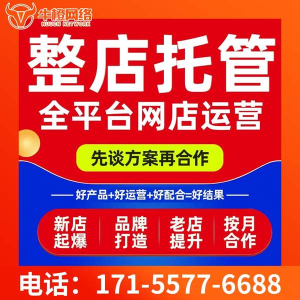 海安电商代运营