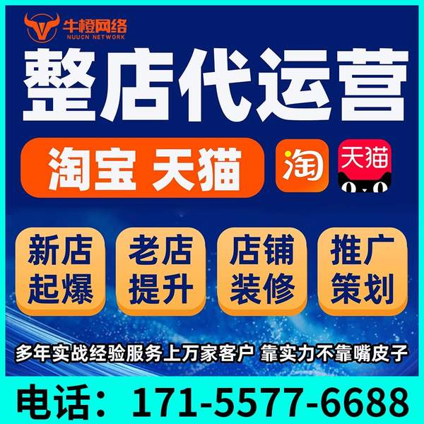 海安电商代运营