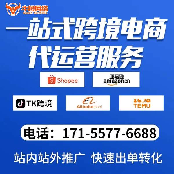 海安电商代运营