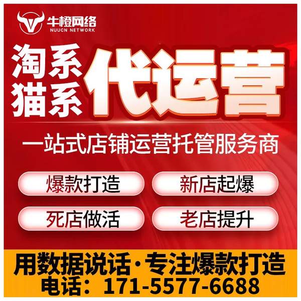 海安电商代运营